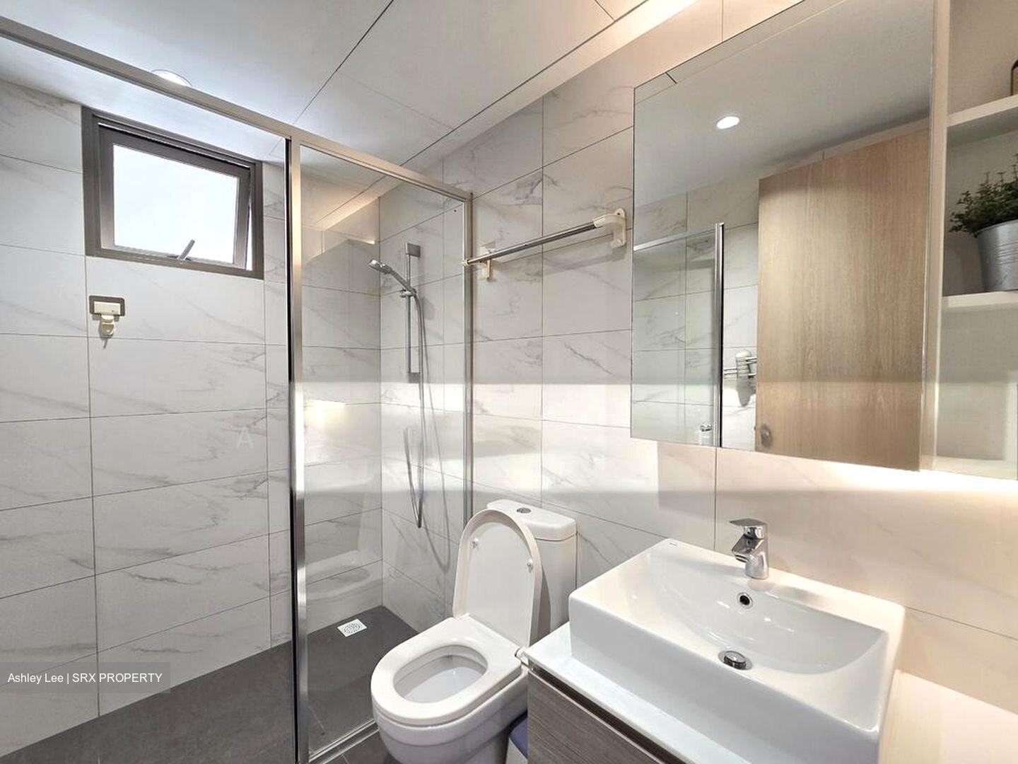 Treasure Crest (D19), Condominium #501776941